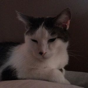 Meet your Posher, Mary